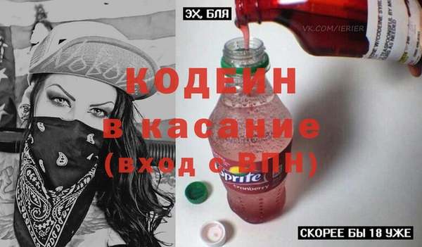 крисы Ельня